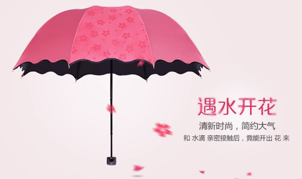 折叠伞